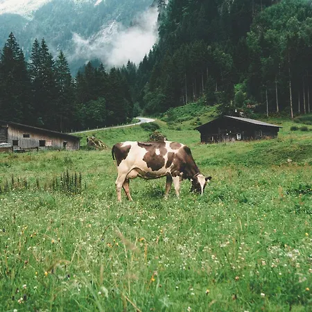 Zeunerhof *